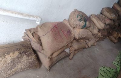Damaged Stock of Wheat